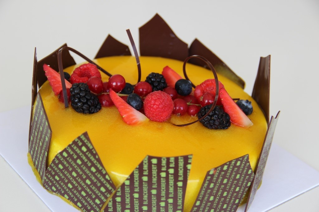Chocolate Passion Fruit Entremet Cake (vegan & gluten-free) - Nirvana  Cakery | Recipe | Passion fruit cake, Vegan desserts, Desserts